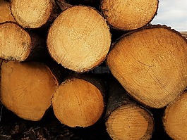 木,holzstapel,存儲