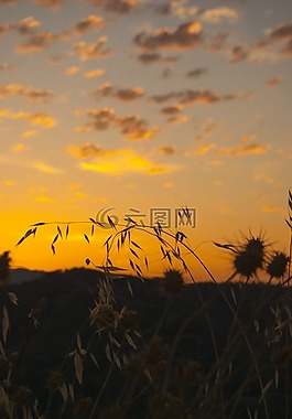 黎明,太阳,nuebes
