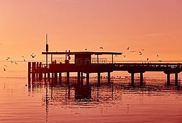 碼頭,塢站,海灘