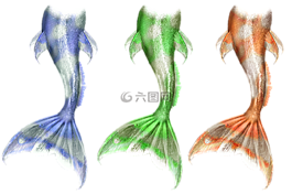 美人魚(yú),人魚(yú),濱海
