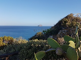 的风景,海,图里山
