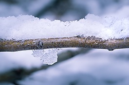 雪,冬天,科