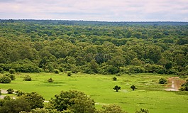 國家公園,摩爾國家公園,旅游業加納