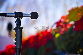 麥克風(fēng),音樂(lè)會(huì),度假