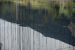 反映,池塘,艺术品
