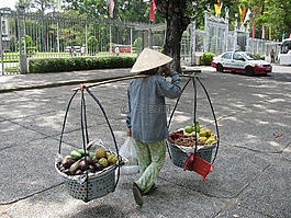 印度尼西亞,女子,工作