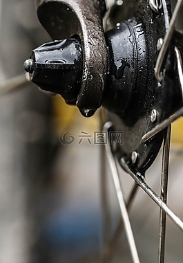 車輪,自行車,循環(huán)