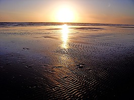 海灘,海,日落