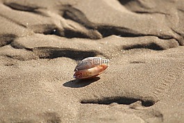 被遺棄的炮彈,低潮,海洋