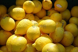 檸檬,水果,柑橘類水果
