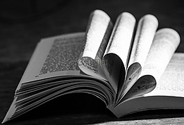 書,閱讀,頁面