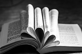 書,閱讀,頁面