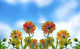 花,夏天,春