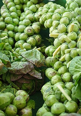 布魯塞爾豆芽,小花,蔬菜