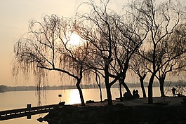 日落,樹(shù),湖