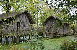 非洲,木屋,建設(shè)