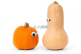 南瓜,白,可爱