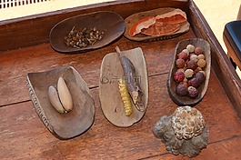 沙漠灌木塔克,食品,浆果