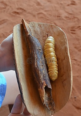 沙漠灌木塔克,bushtucker,食品