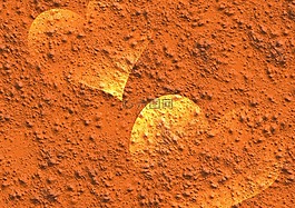 模式,結(jié)構(gòu),心臟