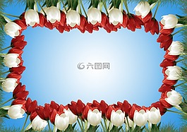 鮮花,郁金香,春天