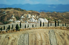 托斯卡納,景觀,柏