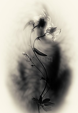 恢復(fù),冥想,性質(zhì)