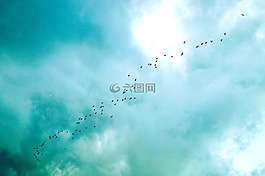 藍色,天空,云
