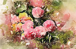 鮮花,玫瑰,花束