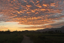 日出,田,松巴哇