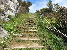 樓梯,女士當(dāng)牧場,林道