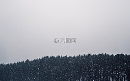 雪下,暴雪,冬天
