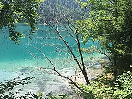 湖,湖白湖,綠水
