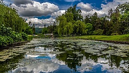 下薩克森,公園,水