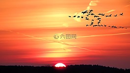景觀,日出,天空
