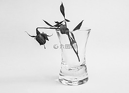 玫瑰,玻璃,花卉