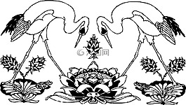 鸛,鳥,裝修