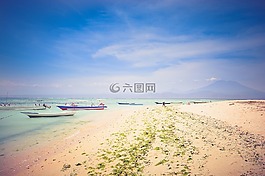 海灘,沙,陽光