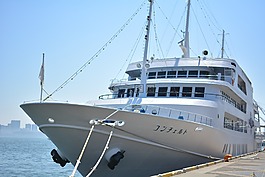 船舶,旅游船,巡洋艦