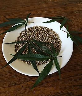 大麻種子,食品,成分