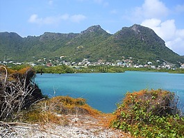 湾,热带小岛,联盟的岛