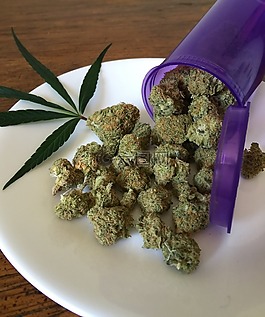 大麻,雜草,藥物