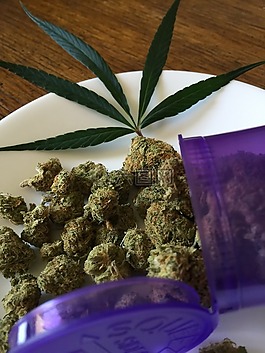 大麻,醫(yī)療,水稻