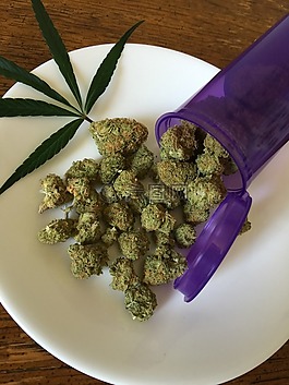 大麻,雜草,藥物