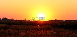 日出,太陽(yáng),天空