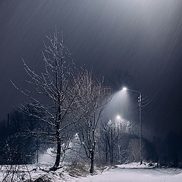 雪,黑暗,夜