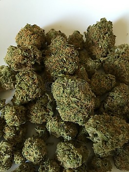 大麻,雜草,藥物