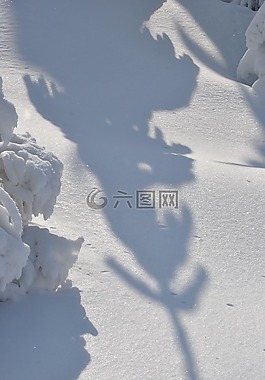 冬季,雪,山