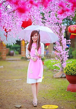 花,自然,夏天