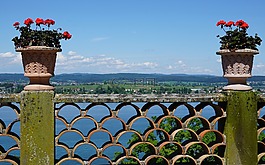 thurgau,薩倫斯泰因,賴歇瑙